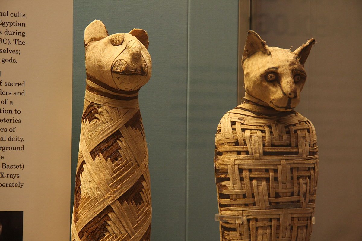 Animales sagrados en el Antiguo Egipto